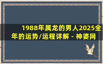 1988年属龙的男人2025全年的运势/运程详解 - 神婆网